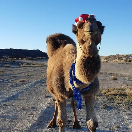 Cueva Monegros-adults Only