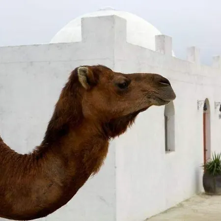 Отель Cueva Monegros-adults Only 3*