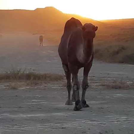 מלון Cueva Monegros-adults Only Tardienta