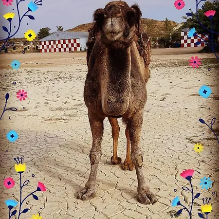 Hotel Cueva Monegros-adults Only