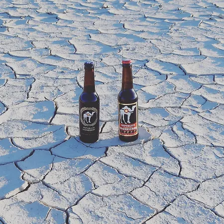 Cueva Monegros-adults Only 3*