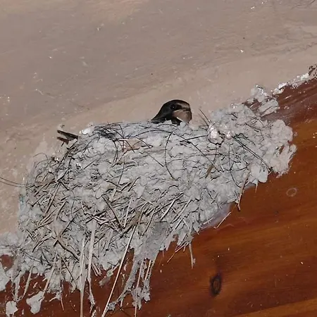 Cueva Monegros-adults Only 3*