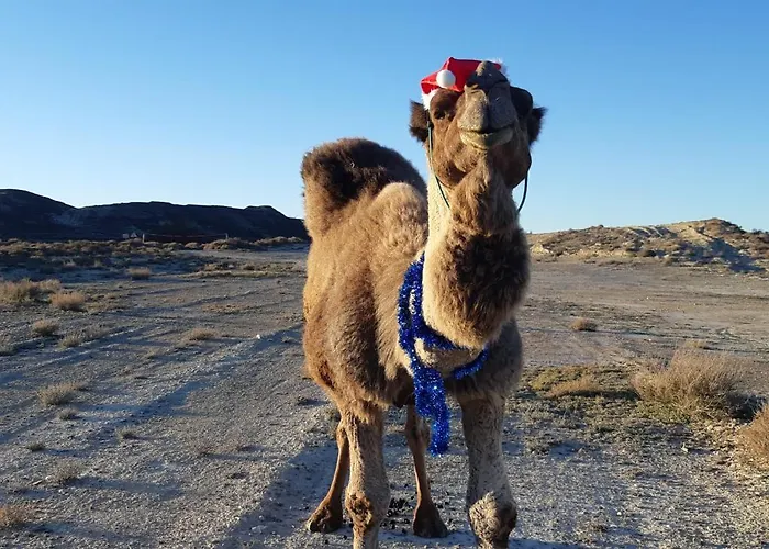 Cueva Monegros-adults Only