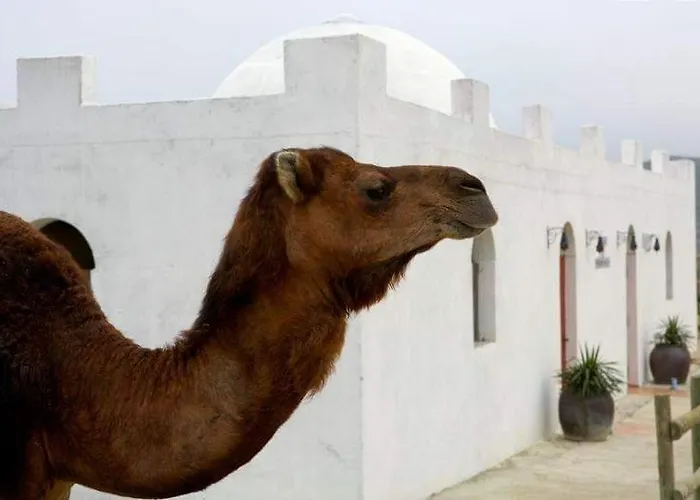 Szálloda Cueva Monegros-adults Only 3*