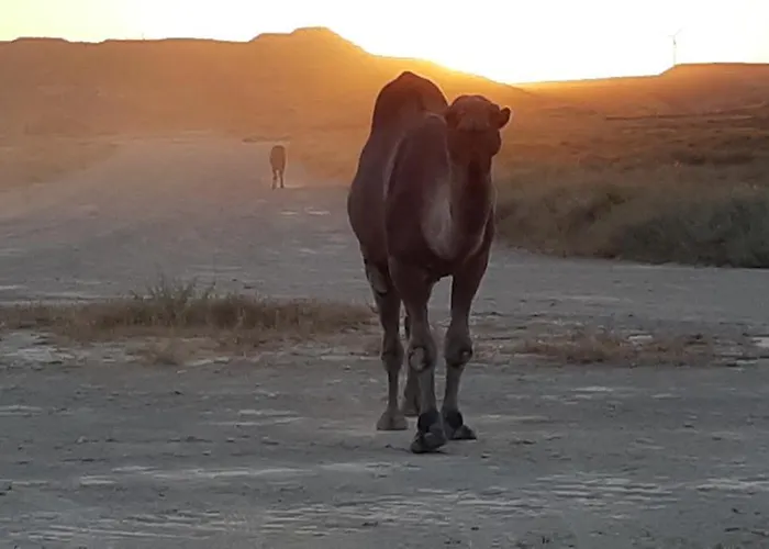 Szálloda Cueva Monegros-adults Only Tardienta