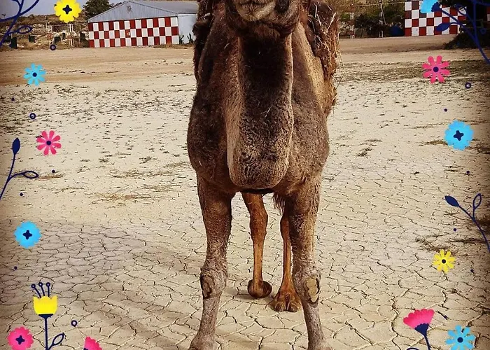 Szálloda Cueva Monegros-adults Only