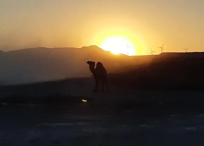 Szálloda Cueva Monegros-adults Only