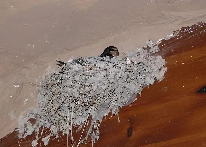 Cueva Monegros-adults Only 3*